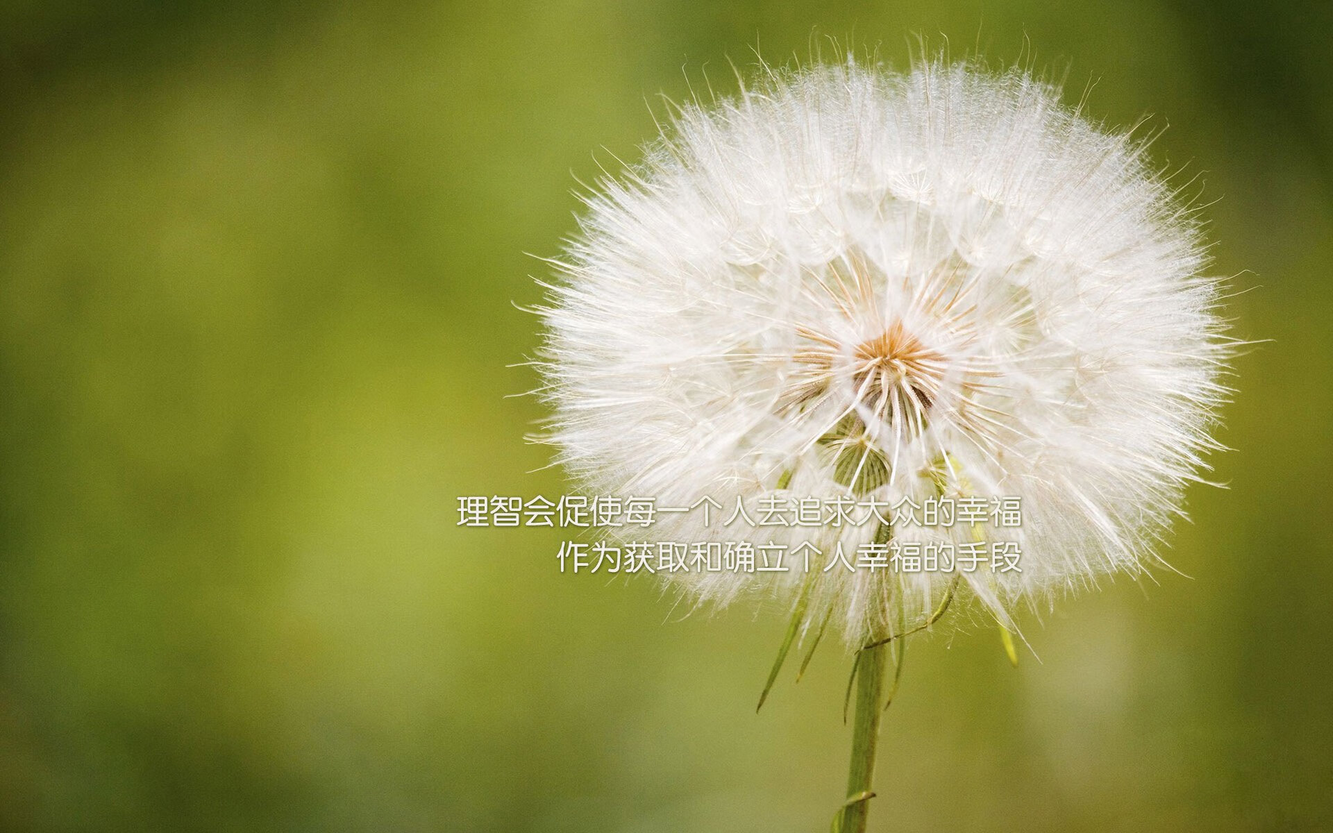 巴黎圣日耳曼再战胜，欧冠夺冠在望！，巴黎圣日耳曼在欧冠最好的成绩