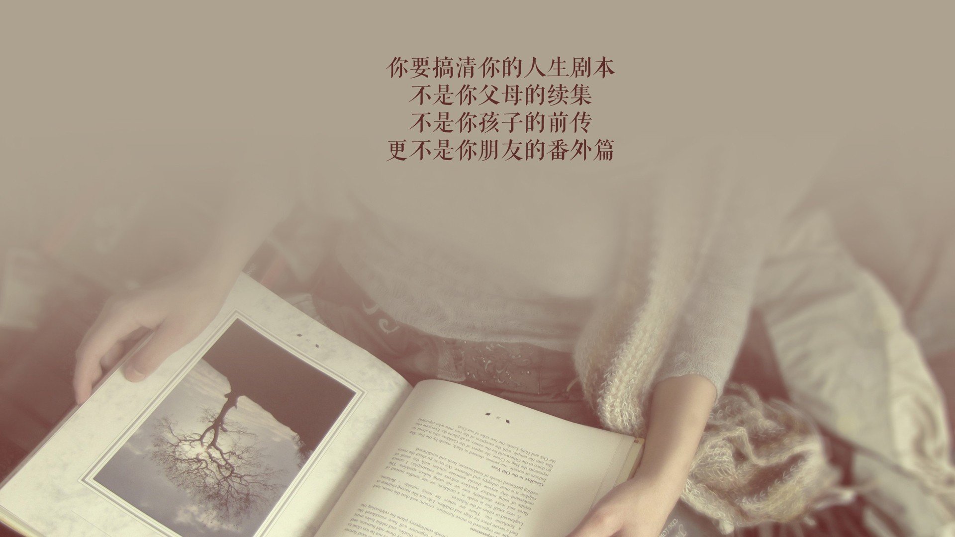 im电竞官方下载-伊朗马术队在巴黎奥运会盛装舞步赛中获得第八名，成绩可圈可点。