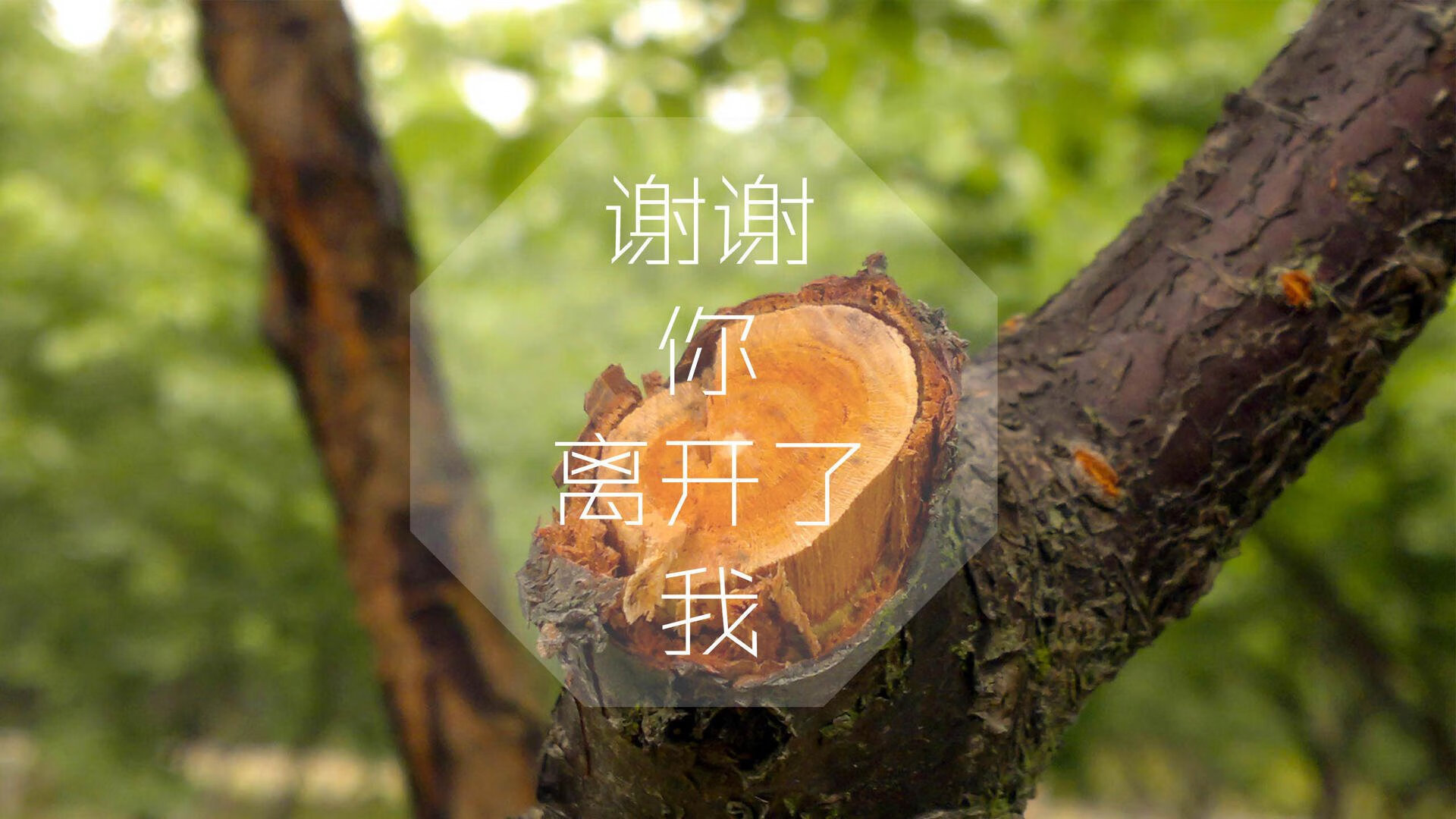 im体育官网入口-“宽板滑水赛：马鞍山赛场挑战极限水上运动”