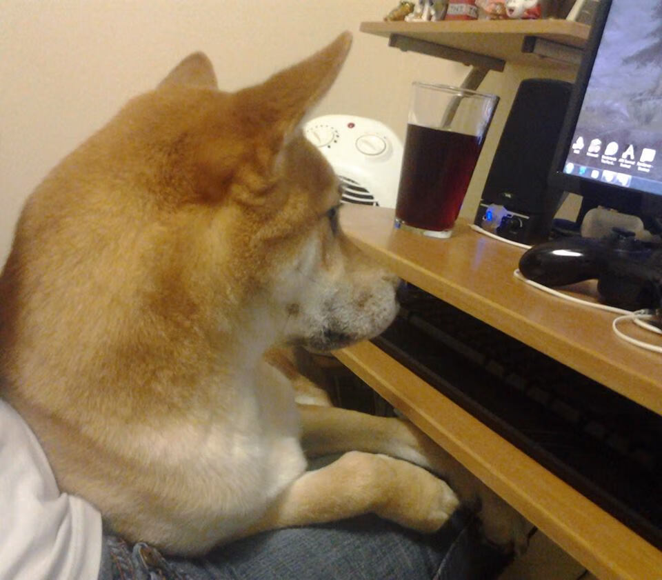 英超争冠激烈:悬念渐入佳境,精彩不断!,英超竞争激烈