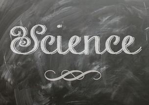 im体育平台官网-麦考领袖风范：全黑队胜利的灵魂人物，麦考3个总冠军